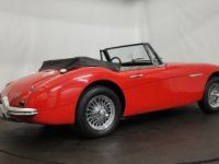 Austin Healey 3000 MK2 BJ7 - <small></small> 47.500 € <small>TTC</small> - #15