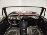 Austin Healey 3000 MK2 BJ7 - <small></small> 47.500 € <small>TTC</small> - #29