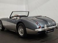 Austin Healey 3000 MK2 BT7 - <small></small> 70.000 € <small>TTC</small> - #3