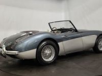 Austin Healey 3000 MK2 BT7 - <small></small> 70.000 € <small>TTC</small> - #4