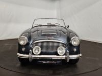 Austin Healey 3000 MK2 BT7 - <small></small> 70.000 € <small>TTC</small> - #6