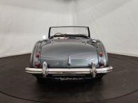 Austin Healey 3000 MK2 BT7 - <small></small> 70.000 € <small>TTC</small> - #13