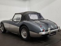 Austin Healey 3000 MK2 BT7 - <small></small> 70.000 € <small>TTC</small> - #23