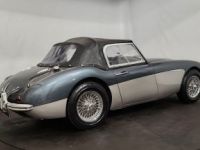 Austin Healey 3000 MK2 BT7 - <small></small> 70.000 € <small>TTC</small> - #26