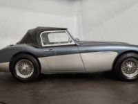 Austin Healey 3000 MK2 BT7 - <small></small> 70.000 € <small>TTC</small> - #27