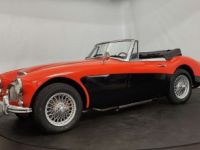 Austin Healey 3000 MK3 BJ8 - <small></small> 39.900 € <small>TTC</small> - #5