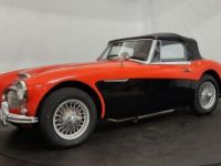 Austin Healey 3000 MK3 BJ8 - <small></small> 39.900 € <small>TTC</small> - #7