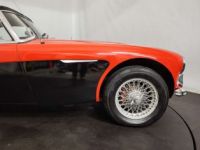 Austin Healey 3000 MK3 BJ8 - <small></small> 39.900 € <small>TTC</small> - #21