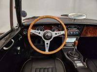 Austin Healey 3000 MK3 BJ8 - <small></small> 39.900 € <small>TTC</small> - #38