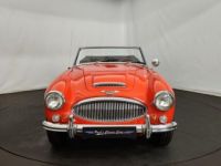 Austin Healey 3000 MK3 BJ8 - <small></small> 39.900 € <small>TTC</small> - #6