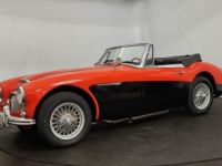 Austin Healey 3000 MK3 BJ8 - <small></small> 39.900 € <small>TTC</small> - #8