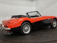 Austin Healey 3000 MK3 BJ8 - <small></small> 39.900 € <small>TTC</small> - #13