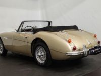 Austin Healey 3000 MK3 BJ8 - <small></small> 88.500 € <small>TTC</small> - #3