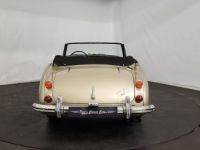 Austin Healey 3000 MK3 BJ8 - <small></small> 88.500 € <small>TTC</small> - #13