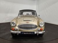 Austin Healey 3000 MK3 BJ8 - <small></small> 88.500 € <small>TTC</small> - #20