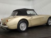 Austin Healey 3000 MK3 BJ8 - <small></small> 88.500 € <small>TTC</small> - #26