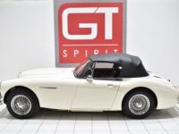 Austin Healey 3000 MKII  BJ7 - <small></small> 57.900 € <small>TTC</small> - #3