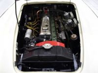 Austin Healey 3000 MKII  BJ7 - <small></small> 57.900 € <small>TTC</small> - #10