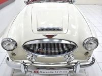 Austin Healey 3000 MKII  BJ7 - <small></small> 57.900 € <small>TTC</small> - #13