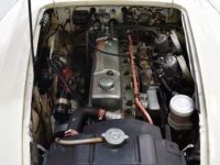Austin Healey 3000 MKII BJ7 - <small></small> 59.900 € <small>TTC</small> - #10