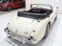 Austin Healey 3000 MKII BJ7 - <small></small> 59.900 € <small>TTC</small> - #20