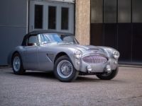 Austin Healey 3000 MKII BJ7 - <small></small> 145.000 € <small>TTC</small> - #5