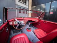 Austin Healey 3000 MKII BJ7 - <small></small> 145.000 € <small>TTC</small> - #15