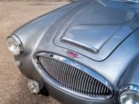 Austin Healey 3000 MKII BJ7 - <small></small> 145.000 € <small>TTC</small> - #17