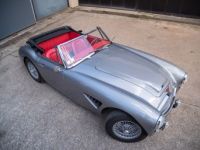 Austin Healey 3000 MKII BJ7 - <small></small> 145.000 € <small>TTC</small> - #28