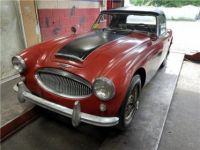 Austin Healey 3000 MKII BJ7  - <small></small> 27.000 € <small>TTC</small> - #3