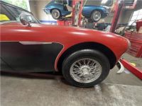 Austin Healey 3000 MKII BJ7  - <small></small> 27.000 € <small>TTC</small> - #9