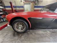 Austin Healey 3000 MKII BJ7  - <small></small> 27.000 € <small>TTC</small> - #11