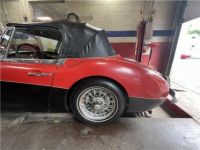 Austin Healey 3000 MKII BJ7  - <small></small> 27.000 € <small>TTC</small> - #12