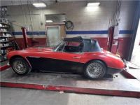 Austin Healey 3000 MKII BJ7  - <small></small> 25.000 € <small>TTC</small> - #5