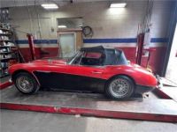 Austin Healey 3000 MKII BJ7  - <small></small> 28.000 € <small>TTC</small> - #5