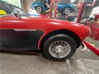 Austin Healey 3000 MKII BJ7  - <small></small> 28.000 € <small>TTC</small> - #9