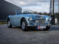 Austin Healey 3000 MKII BN7 - <small></small> 89.900 € <small>TTC</small> - #1