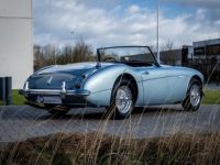 Austin Healey 3000 MKII BN7 - <small></small> 89.900 € <small>TTC</small> - #3