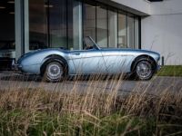 Austin Healey 3000 MKII BN7 - <small></small> 89.900 € <small>TTC</small> - #5