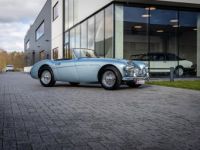 Austin Healey 3000 MKII BN7 - <small></small> 89.900 € <small>TTC</small> - #7