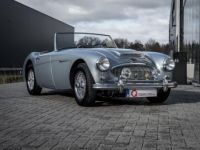 Austin Healey 3000 MKII BN7 - <small></small> 89.900 € <small>TTC</small> - #9