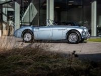 Austin Healey 3000 MKII BN7 - <small></small> 89.900 € <small>TTC</small> - #11