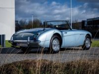 Austin Healey 3000 MKII BN7 - <small></small> 89.900 € <small>TTC</small> - #13