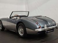 Austin Healey 3000 MKII BT7 - <small></small> 70.000 € <small>TTC</small> - #2