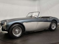 Austin Healey 3000 MKII BT7 - <small></small> 70.000 € <small>TTC</small> - #5