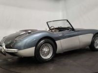 Austin Healey 3000 MKII BT7 - <small></small> 70.000 € <small>TTC</small> - #6