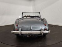 Austin Healey 3000 MKII BT7 - <small></small> 70.000 € <small>TTC</small> - #12