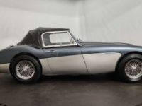 Austin Healey 3000 MKII BT7 - <small></small> 70.000 € <small>TTC</small> - #17