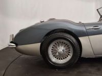 Austin Healey 3000 MKII BT7 - <small></small> 70.000 € <small>TTC</small> - #19