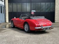 Austin Healey 3000 MKIII - <small></small> 55.000 € <small>TTC</small> - #3